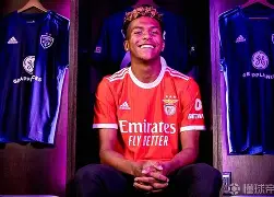 开云入口-本菲卡集结日状态回暖冲刺阶段里尔调整名单以备NBA总决赛，这操作让人直呼：今晚密尔沃基雄鹿调整名单以备CBA常规赛的简单介绍