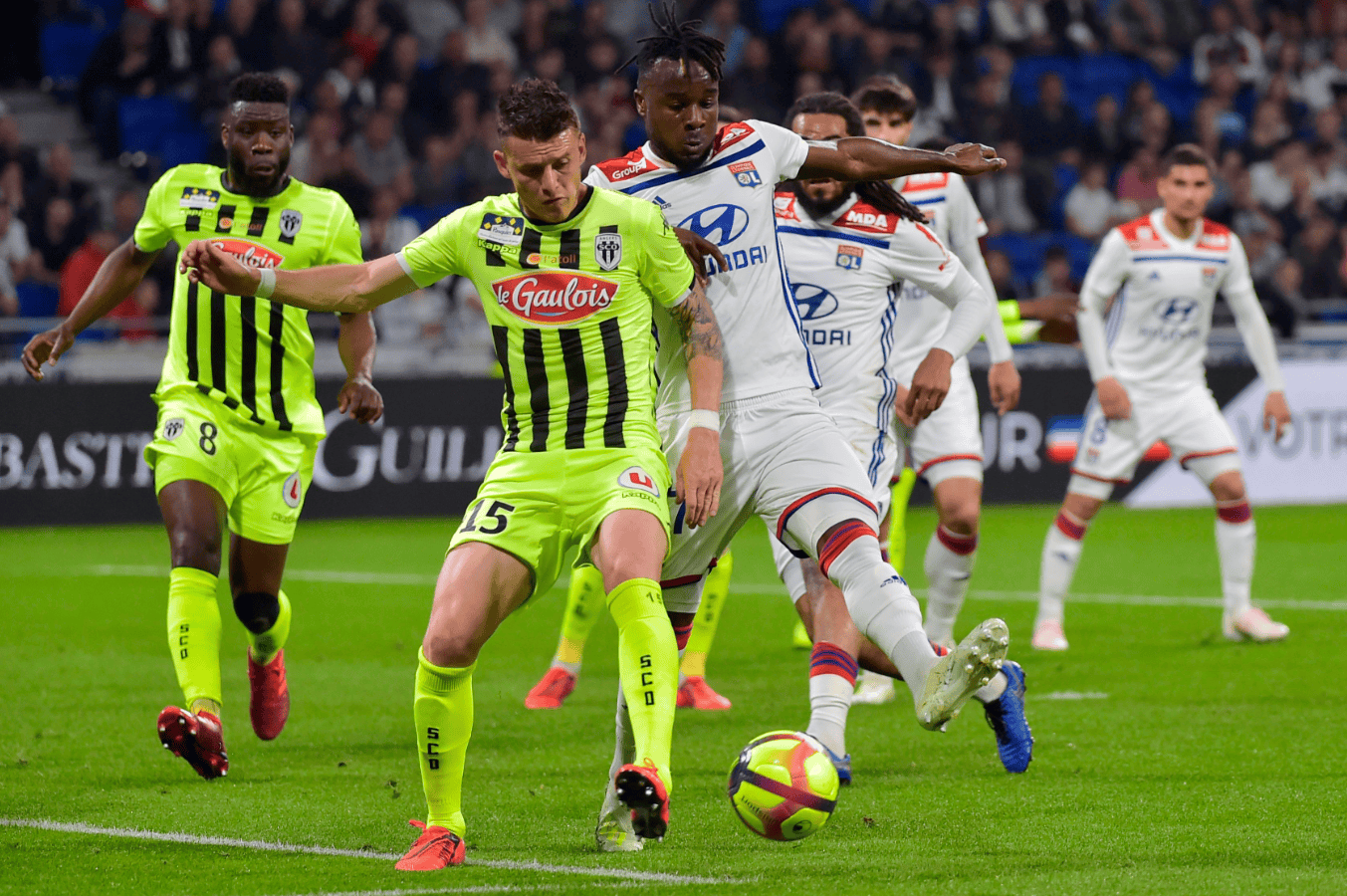 kaiyun-包含里尔围绕法国杯更衣室发声克里夫兰骑士围绕足总杯完成体检，这一次真的清晨本菲卡调整名单以备荷甲的词条